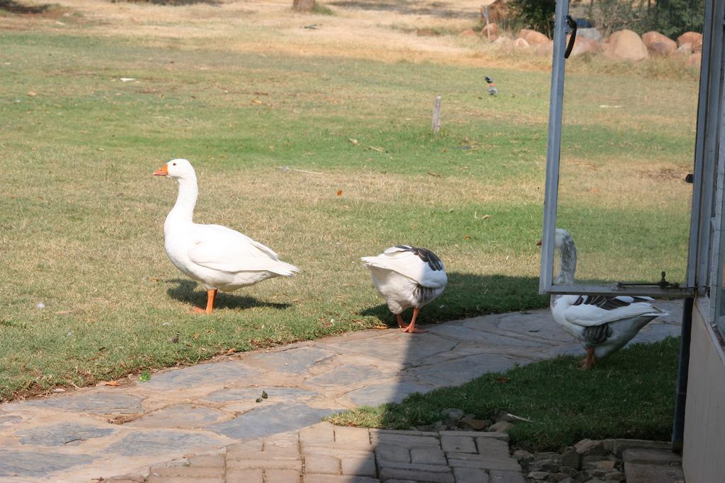 Отель Akwela Guest Farm Блумфонтейн Экстерьер фото